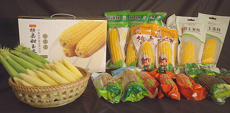 特色產(chǎn)品|橫縣甜玉米憑什么獲得農(nóng)產(chǎn)品地理標志登記證書?